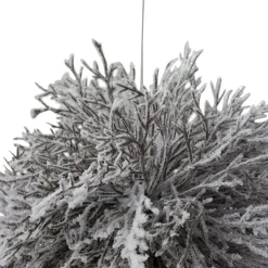 Northlight Balls></noscript>7