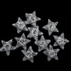 PENN 10 Battery Operated Clear Led Spun Glass Star Christmas Lights