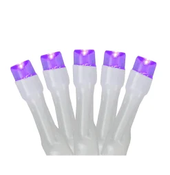 Northlight 20 Battery Operated Purple Led Wide Angle Christmas Lights - 9.5 Ft White Wire