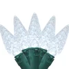 Brite Star 35 Battery Operated White Faceted Led C6 Christmas Lights - 11 Ft Green Wire