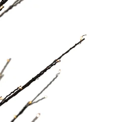 Northlight Twig Trees></noscript>5' Black Led Lighted Christmas Twig Tree - Warm White Lights
