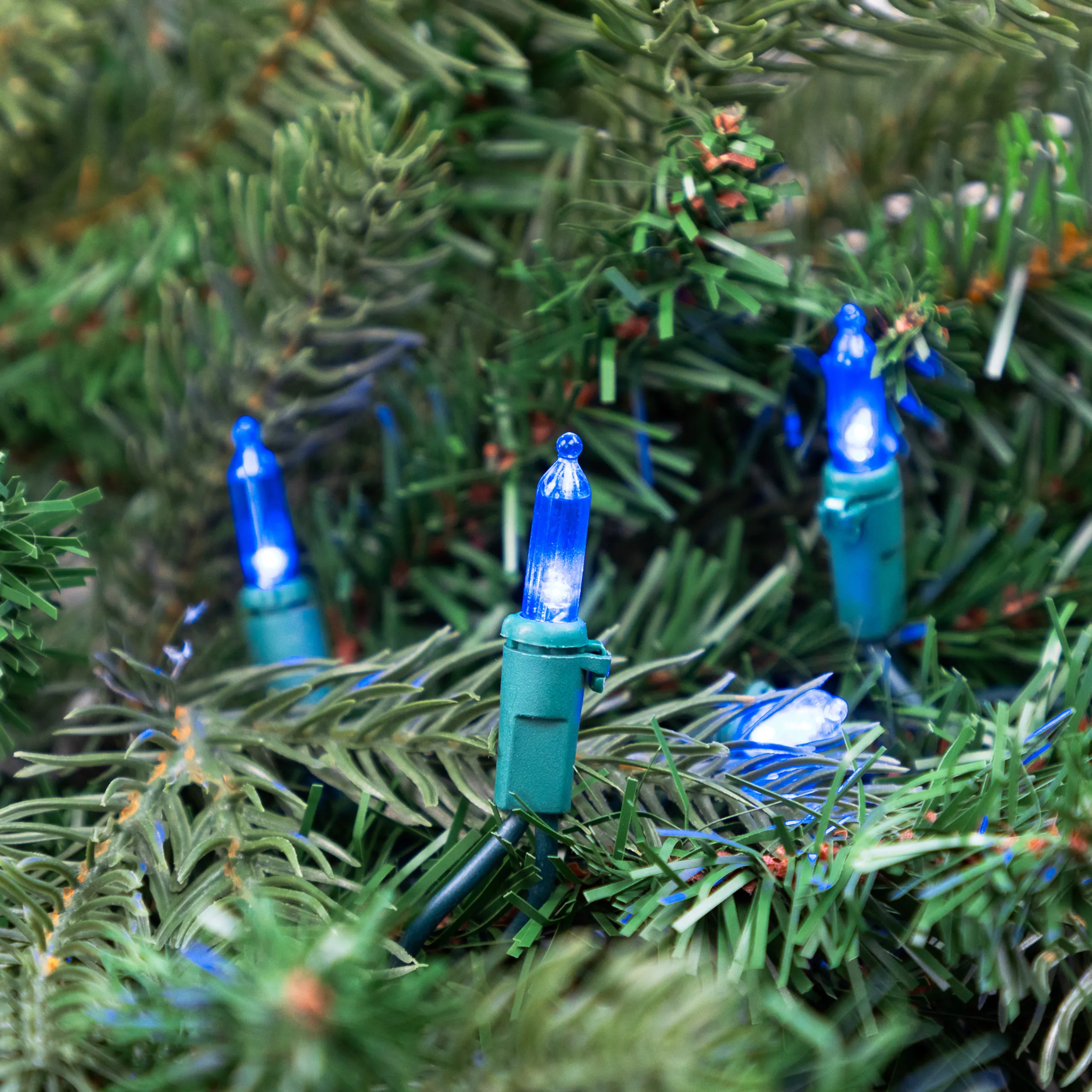 Northlight 100 Blue Led Mini Christmas Lights, 33 Ft Green Wire