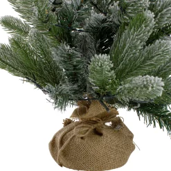 Northlight Potted Trees></noscript>2' B/O Potted Frosted Pine Medium Artificial Christmas Tree In A Burlap Pot- Warm White Lights