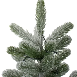 Northlight Potted Trees></noscript>2' B/O Potted Frosted Pine Medium Artificial Christmas Tree In A Burlap Pot- Warm White Lights