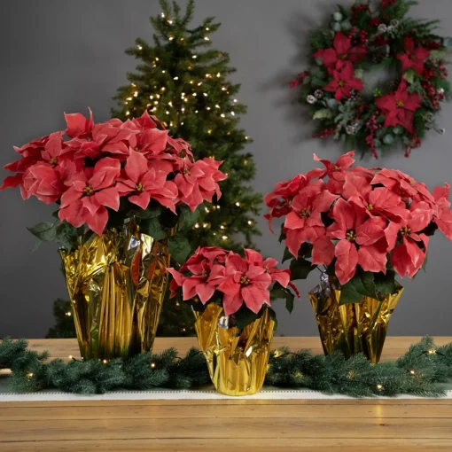Floral*Northlight 20" Dark Pink Artificial Christmas Poinsettia With Gold Wrapped Base