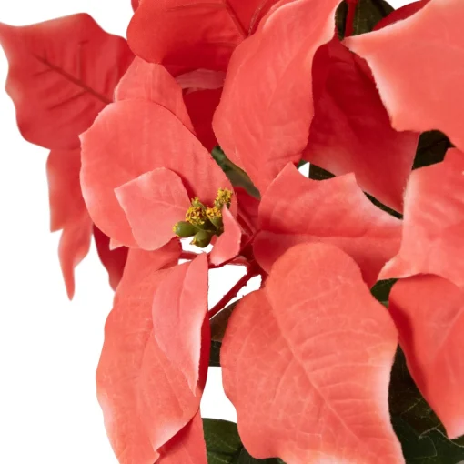 Floral*Northlight 28" Dark Pink Artificial Christmas Poinsettia With Gold Wrapped Base