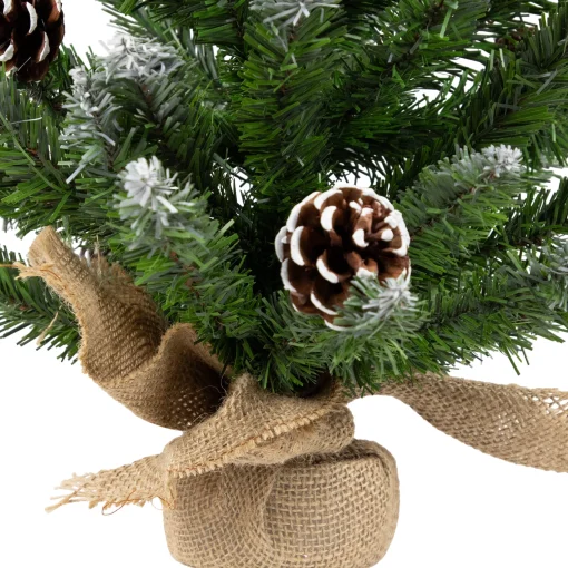 Northlight 2.5 Feet Tall And Smaller>24" Frosted Norway Pine With Pine Cones Medium Artificial Christmas Tree, Unlit