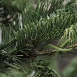 Northlight Unlit Traditional Trees></noscript>6.5 Ft Layered Nordmann Fir Artificial Christmas Tree - Unlit