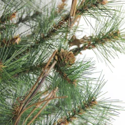 Northlight 2.5 Feet Tall And Smaller>2' Full Country Mixed Pine Artificial Christmas Wall Tree - Unlit