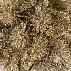 Northlight Balls></noscript>6