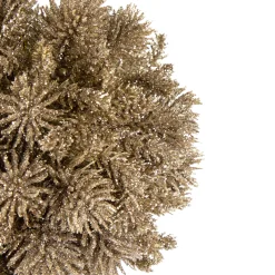 Northlight Balls></noscript>6