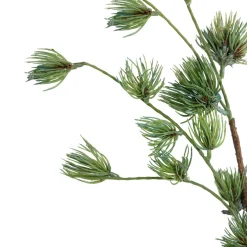 Sprays, Branches & Picks*Northlight 43
