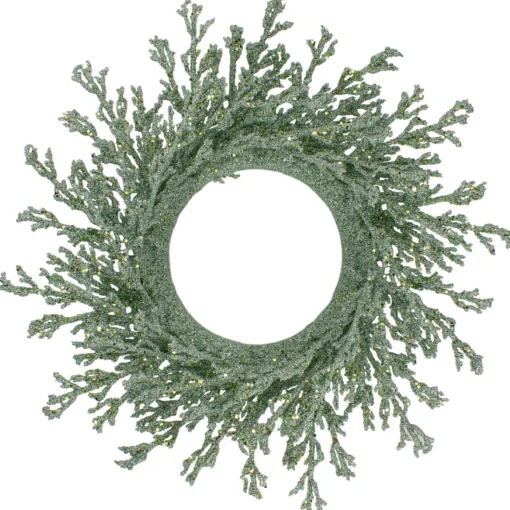 Traditional Pine Wreaths*Northlight 20" Green Glittered Artificial Coral Christmas Wreath
