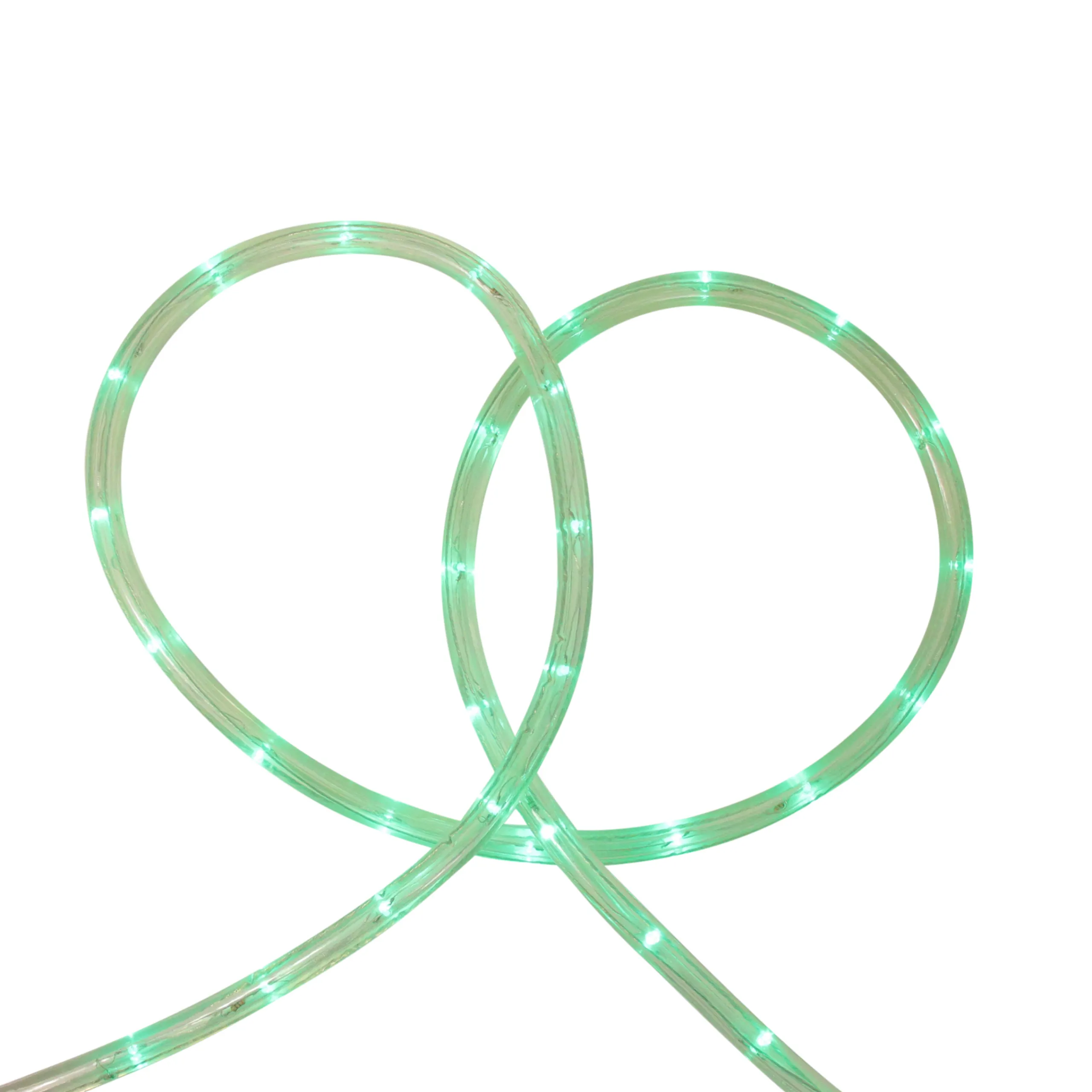 Sienna 102' Green Outdoor Decorative Christmas Rope Lights