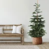 Northlight 9 And 9.5 Feet Tall>9' Layered Nordmann Fir Artificial Christmas Tree - Unlit