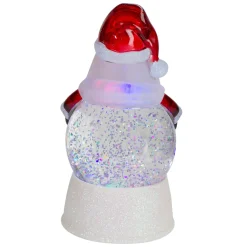 Snow Globes*Northlight 7