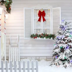 Wall & Door Decorations*Northlight 19