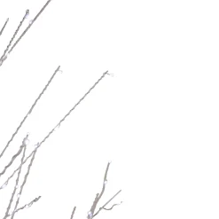 Northlight Twig Trees></noscript>6' Led Lighted White Birch Christmas Twig Tree - Pure White Lights