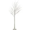 Northlight Twig Trees>6' Led Lighted White Christmas Twig Tree - Warm White Lights