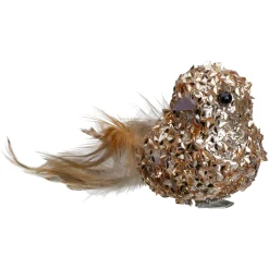 Northlight Animals></noscript>5.5