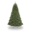 CC Christmas Decor Unlit Traditional Trees>7' Medium Fraser Fir Artificial Christmas Tree – Unlit