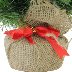 Northlight 2.5 Feet Tall And Smaller></noscript>24