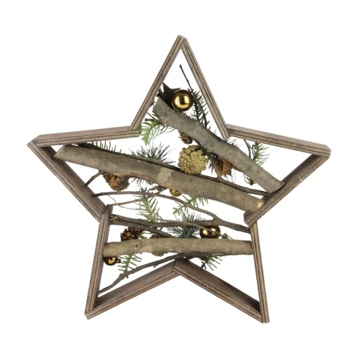 Wall & Door Decorations*Northlight 15.25" Mixed Branches In Star Wood Frame Table Or Wall Decoration