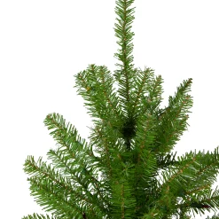 Northlight 10 To 14 Feet Tall></noscript>14' Northern Pine Full Artificial Christmas Tree, Unlit