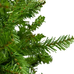 Northlight 10 To 14 Feet Tall></noscript>14' Northern Pine Full Artificial Christmas Tree, Unlit