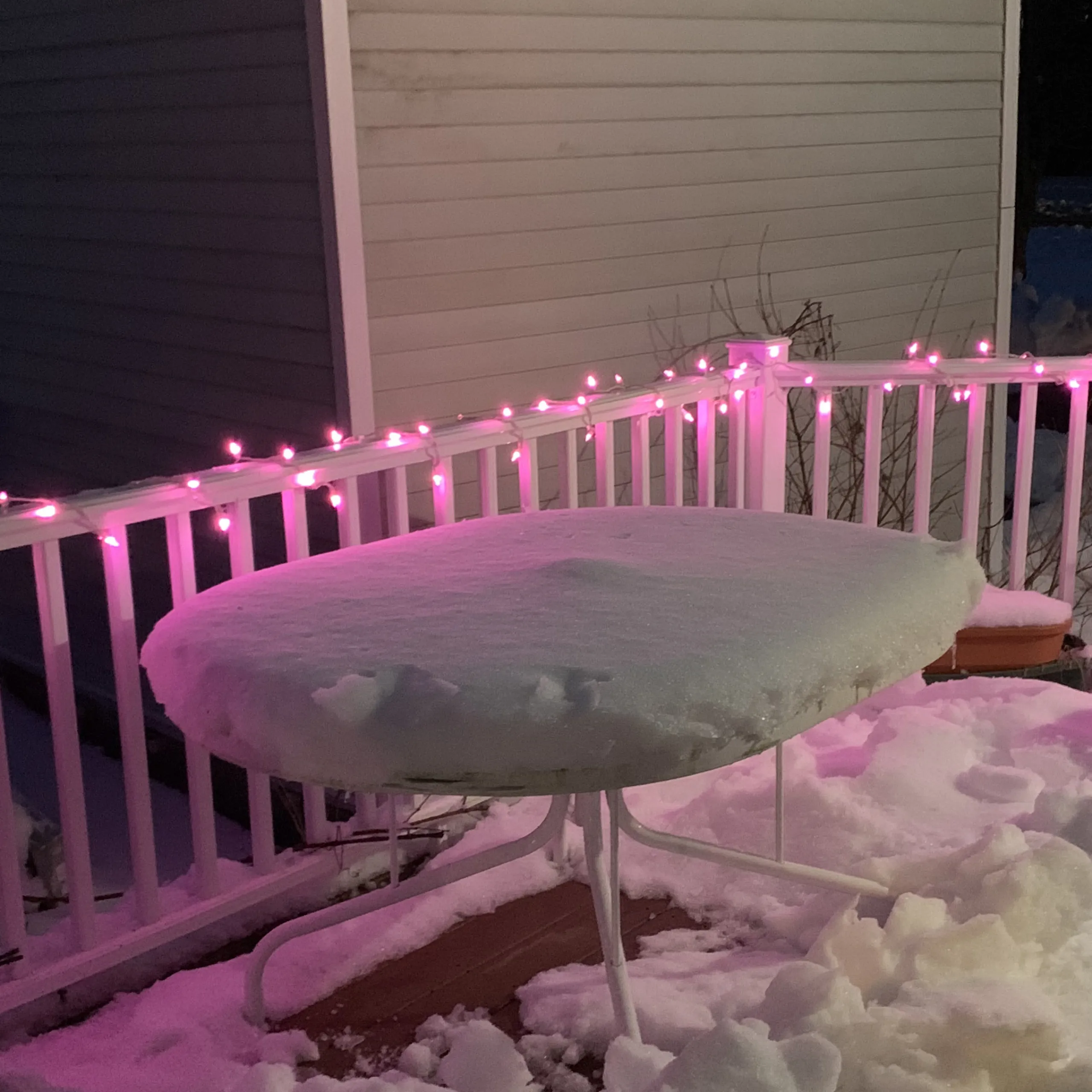 Northlight 100 Pink Led Mini Christmas Lights - 33 Ft White Wire