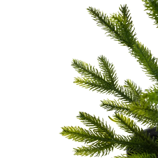 Northlight Potted Trees>2' Potted Pine Medium Artificial Christmas Tree – Unlit