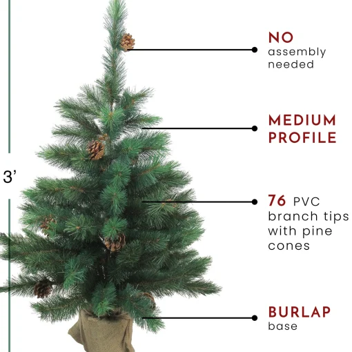 Northlight 3 And 3.5 Feet Tall>3' Potted Royal Oregon Pine Burlap Base Full Artificial Christmas Tree - Unlit