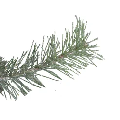 Napa Home & Garden 2.5 Feet Tall And Smaller><noscript><img width=