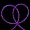 Northlight 18' Pre Lit Purple Incandescent Outdoor Christmas Rope Lights