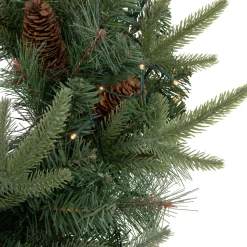 Specialty Wreaths*Northlight 24