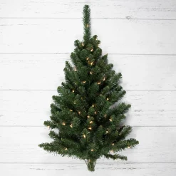 Northlight 3 And 3.5 Feet Tall></noscript>3' Pre-Lit Buffalo Fir Artificial Christmas Wall Or Door Tree, Clear Dura Lights