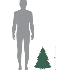 Northlight Wall Trees></noscript>2' Pre-Lit Country Mixed Pine Artificial Christmas Wall Tree - Clear Lights