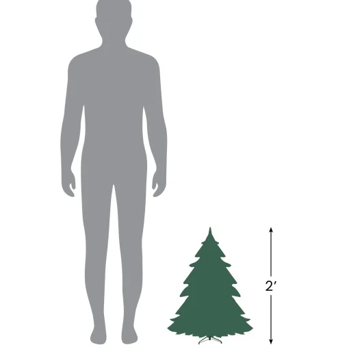 Northlight Wall Trees>2' Pre-Lit Country Mixed Pine Artificial Christmas Wall Tree - Clear Lights