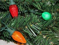 Northlight 15 Feet And Taller></noscript>16.5' Pre-Lit Everest Fir Commercial Christmas Tower Tree - Multicolor C7 Led Lights
