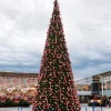 Northlight 15 Feet And Taller>26.5' Pre-Lit Everest Fir Giant Commercial Tower Christmas Tree - Warm White C7 Led Lights