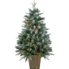 Northlight 4 And 4.5 Feet Tall>4' Pre-Lit Frosted Mixed Berry Pine Artificial Christmas Tree In Pot - Clear Lights