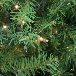 Northlight 6 And 6.5 Feet Tall></noscript>6.5' Pre-Lit Full Artificial Northern Pine Christmas Tree - Clear Lights