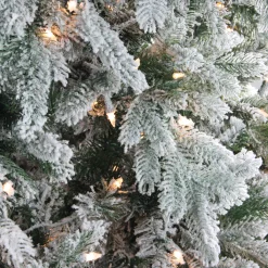 Northlight 9 And 9.5 Feet Tall></noscript>9' Pre-Lit Full Frosted Butte Fir Artificial Christmas Tree - Clear Lights