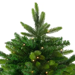 Northlight 7 And 7.5 Feet Tall></noscript>7.5' Pre-Lit Full Gunnison Pine Artificial Christmas Tree - Warm White Led Lights