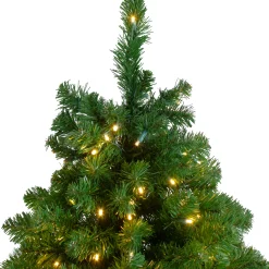 Northlight 9 And 9.5 Feet Tall></noscript>9' Pre-Lit Full Olympia Pine Artificial Christmas Tree - Warm White Lights