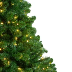Northlight 9 And 9.5 Feet Tall></noscript>9' Pre-Lit Full Olympia Pine Artificial Christmas Tree - Warm White Lights