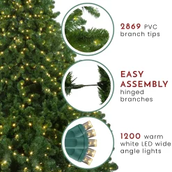 Northlight 9 And 9.5 Feet Tall></noscript>9' Pre-Lit Full Olympia Pine Artificial Christmas Tree - Warm White Lights