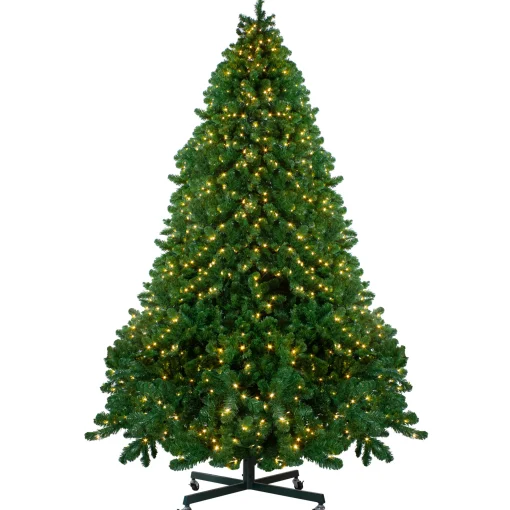 Northlight 10 To 14 Feet Tall>14' Pre-Lit Full Olympia Pine Artificial Christmas Tree - Warm White Lights