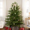 Northlight 6 And 6.5 Feet Tall>6.5' Pre-Lit Full Oregon Noble Fir Artificial Christmas Tree - Warm White Led Lights
