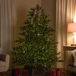 Northlight 6 And 6.5 Feet Tall></noscript>6.5' Pre-Lit Full Oregon Noble Fir Artificial Christmas Tree - Warm White Led Lights